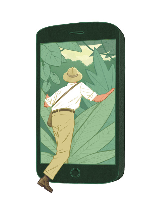 Jori Bolton - Scientific American Illustration - Navigating the Tech Jungle