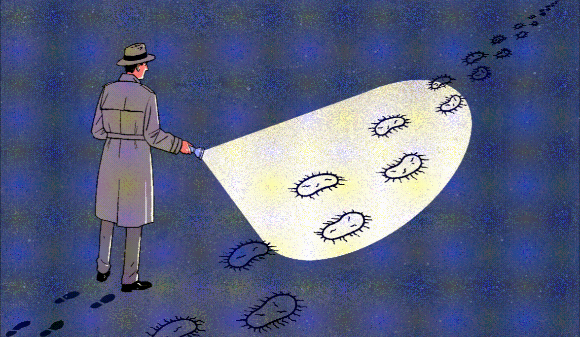 Conceptual editorial illustration of a man shining a flashlight on bacteria-shaped footprints. Illustration by Jori Bolton for Harvard Medicine.