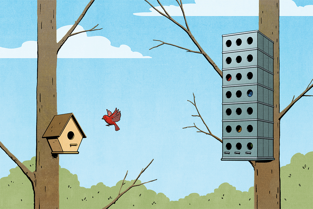 Conceptual editorial illustration of two trees, one with a traditional, peak-roof bird house, and one with a tall, multi-storey tower of a birdhouse, and a red bird flying from the tower to the small peak-roofed bird house. Illustration by Jori Bolton for Harvard Business Review.